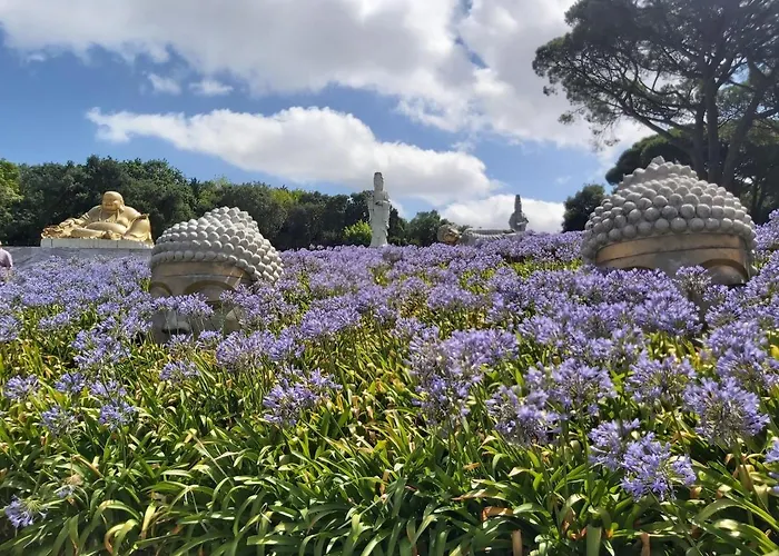 Fou De Foz * Foz do Arelho